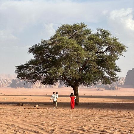 Ferienwohnung Sunset Dreams Camp Wadi Rum Exterior foto